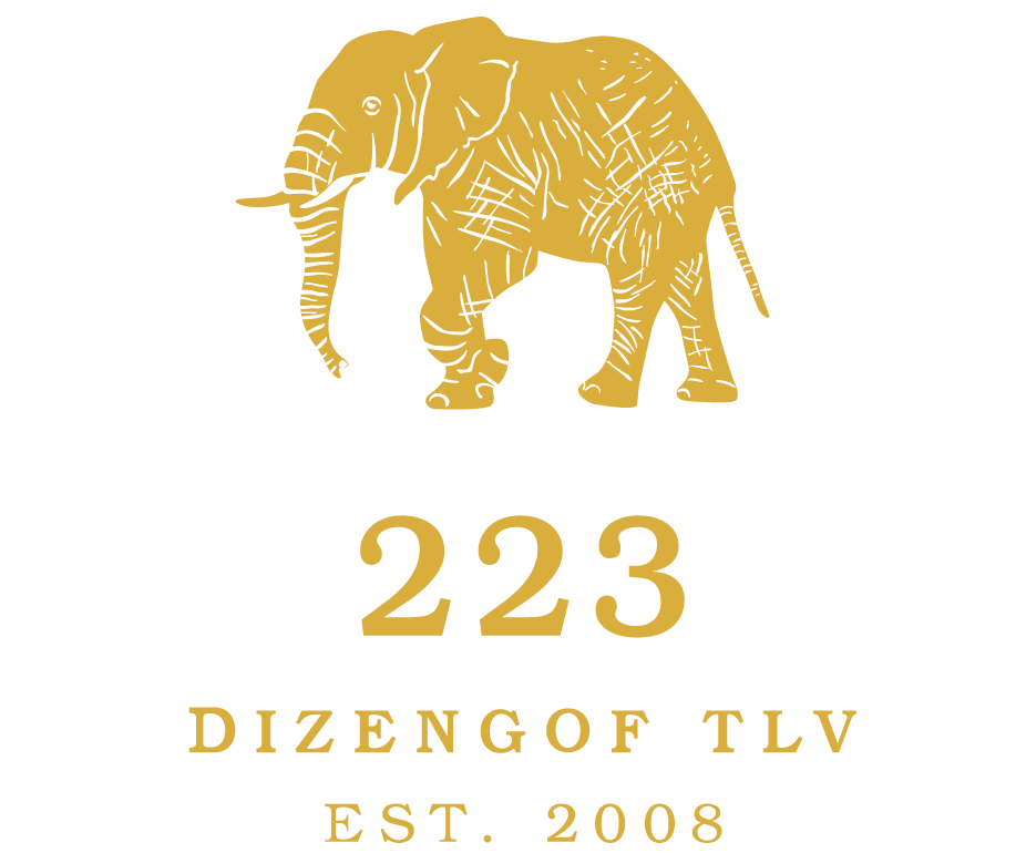 Logo 223 TLV